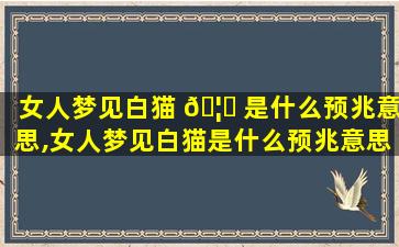 女人梦见白猫 🦆 是什么预兆意思,女人梦见白猫是什么预兆意思周公解梦